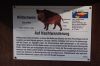 Wildpark-Lueneburg-120406-DSC_0366.JPG