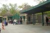 Berliner-Zoo-2013-130506-DSC_0011.jpg