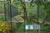 Berliner-Zoo-2013-130506-DSC_0176.jpg