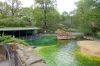 Berliner-Zoo-2013-130506-DSC_0235.jpg