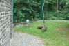 Berlin-Tierpark-Friedrichsfelde-2013-130810-DSC_0803.jpg