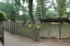 Zoo-Schwerin-150815-DSC_0042.JPG